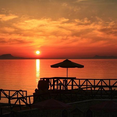 Alkionis Beach Hotel Apartments Sfáka Eksteriør billede
